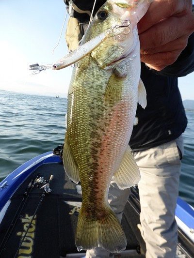 truth news ブログ写真 2014/11/10