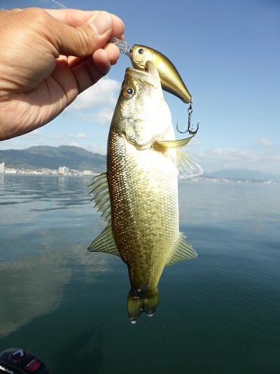 truth news ブログ写真 2014/11/10