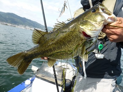 truth news ブログ写真 2014/11/10