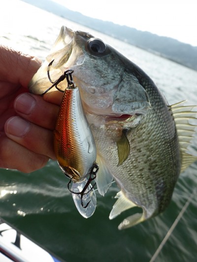 truth news ブログ写真 2014/11/10