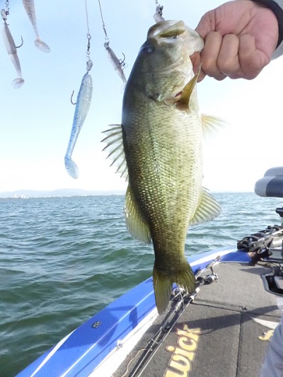 truth news ブログ写真 2014/11/10