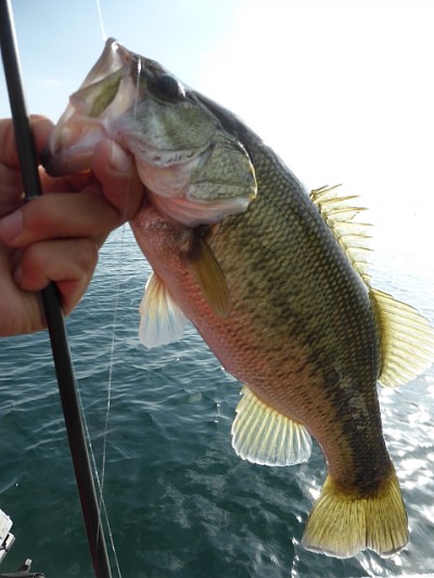 truth news ブログ写真 2014/11/12