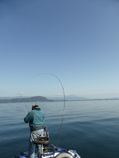 truth news ブログ写真 2014/11/12