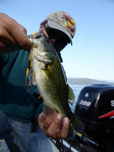 truth news ブログ写真 2014/11/12