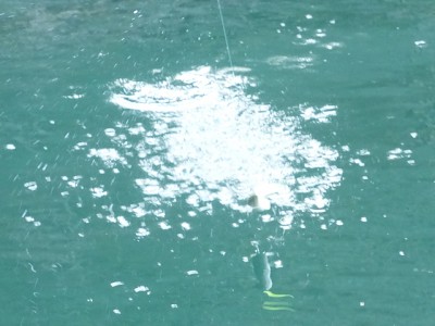 truth news ブログ写真 2014/11/12