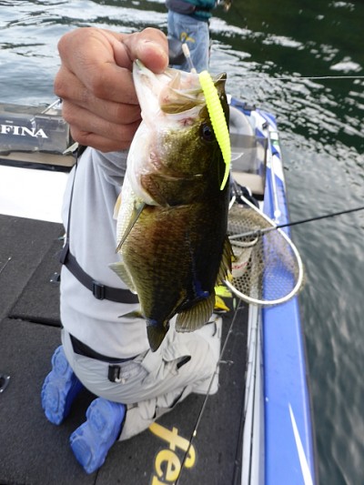 truth news ブログ写真 2014/11/12