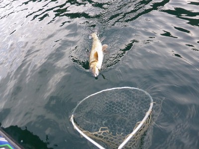 truth news ブログ写真 2014/11/12