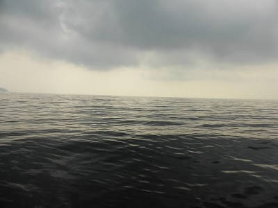 truth news ブログ写真 2014/11/12