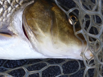 truth news ブログ写真 2014/11/12