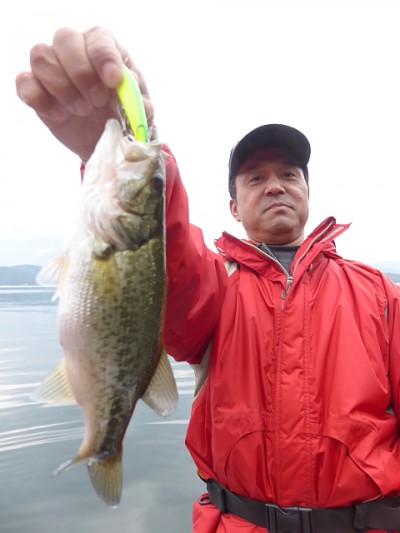 truth news ブログ写真 2014/11/12