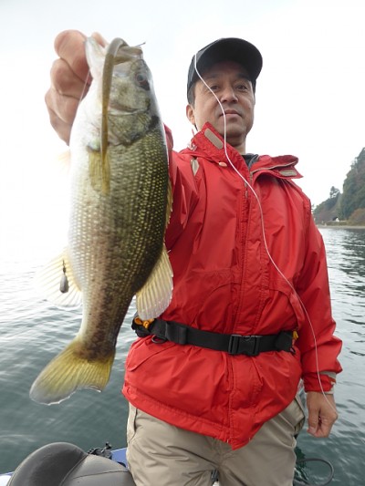 truth news ブログ写真 2014/11/12