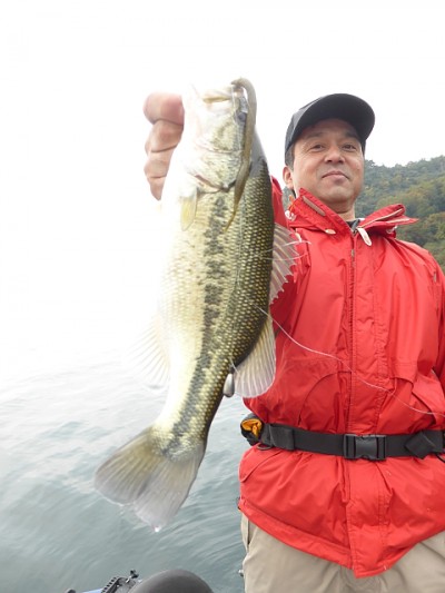 truth news ブログ写真 2014/11/12