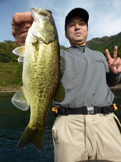 truth news ブログ写真 2014/11/12