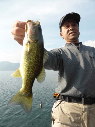 truth news ブログ写真 2014/11/12