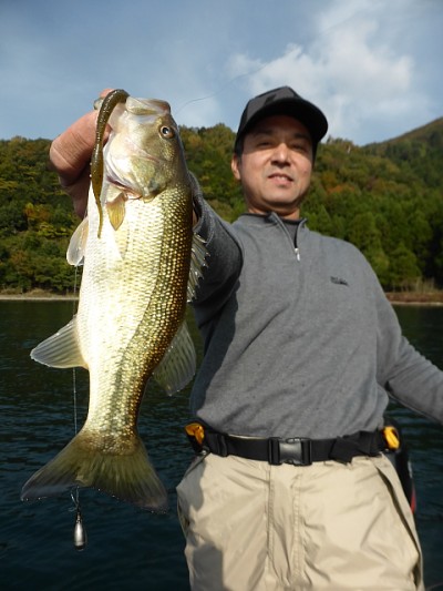 truth news ブログ写真 2014/11/12