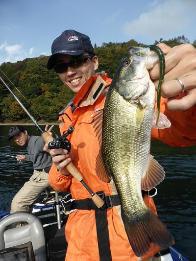 truth news ブログ写真 2014/11/12