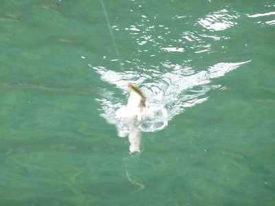 truth news ブログ写真 2014/11/12