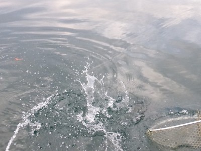 truth news ブログ写真 2014/11/12