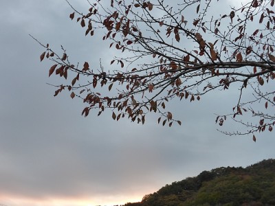 truth news ブログ写真 2014/11/14