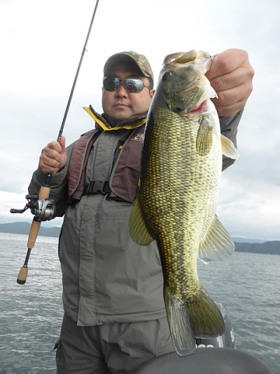 truth news ブログ写真 2014/11/14