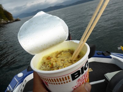 truth news ブログ写真 2014/11/14