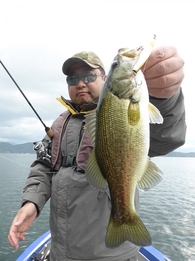 truth news ブログ写真 2014/11/14