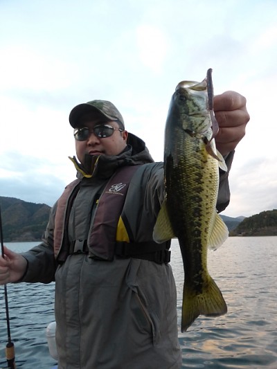 truth news ブログ写真 2014/11/14