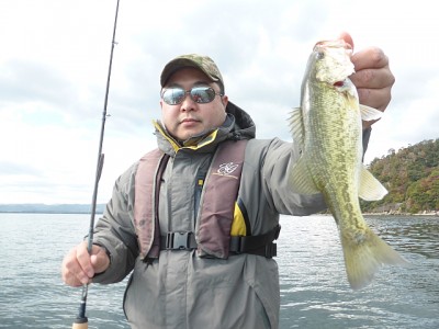 truth news ブログ写真 2014/11/14