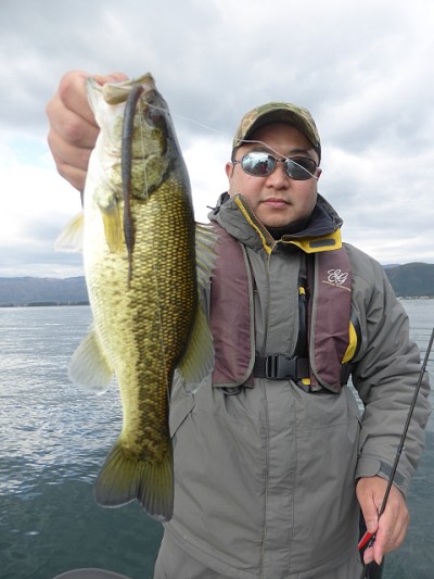 truth news ブログ写真 2014/11/14