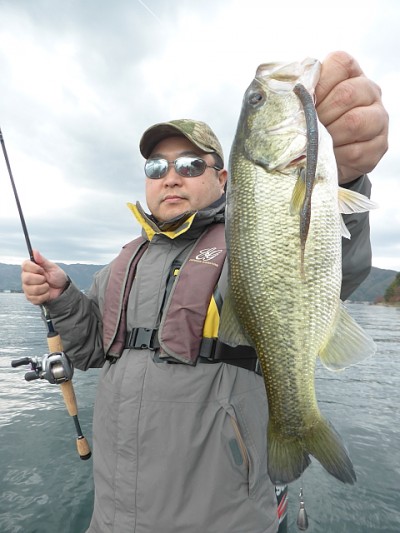 truth news ブログ写真 2014/11/14