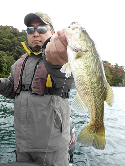 truth news ブログ写真 2014/11/14