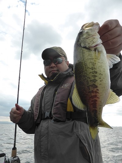 truth news ブログ写真 2014/11/14