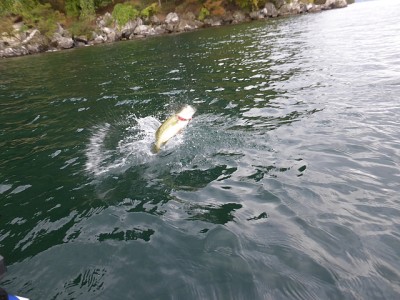 truth news ブログ写真 2014/11/14