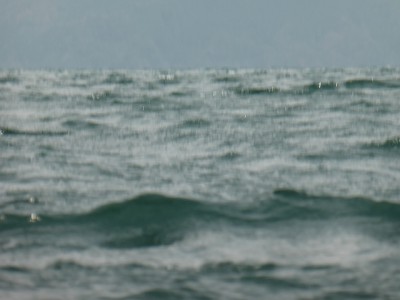 truth news ブログ写真 2014/11/15