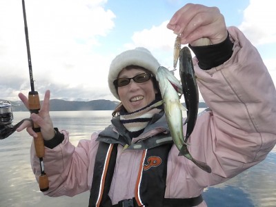 truth news ブログ写真 2014/11/15