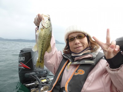 truth news ブログ写真 2014/11/15