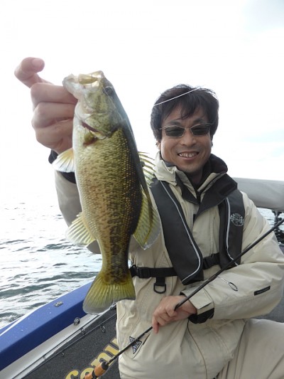 truth news ブログ写真 2014/11/15