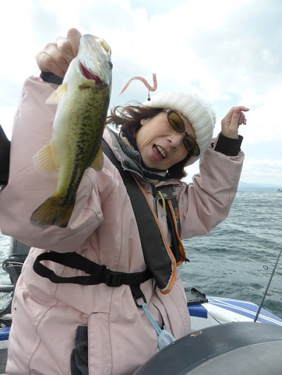 truth news ブログ写真 2014/11/15