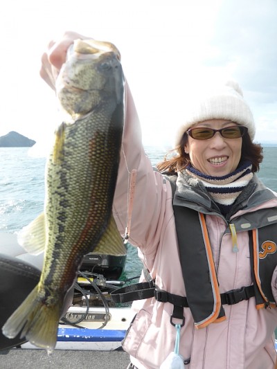 truth news ブログ写真 2014/11/15