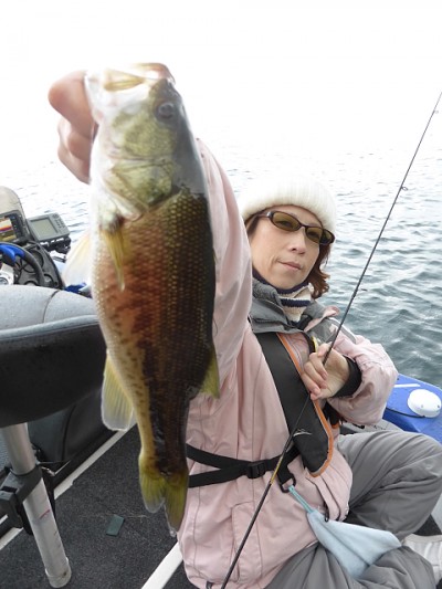 truth news ブログ写真 2014/11/15