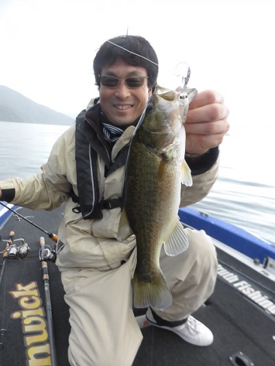 truth news ブログ写真 2014/11/15