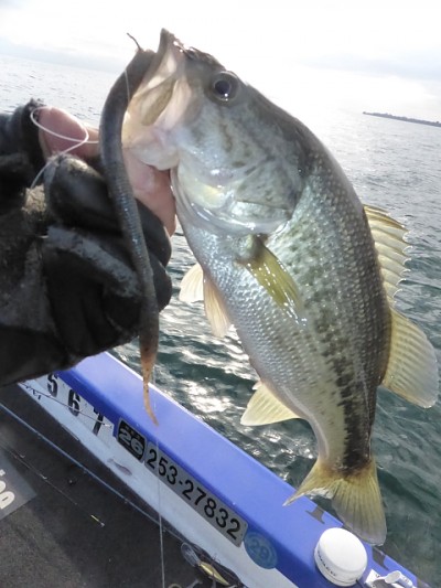 truth news ブログ写真 2014/11/17