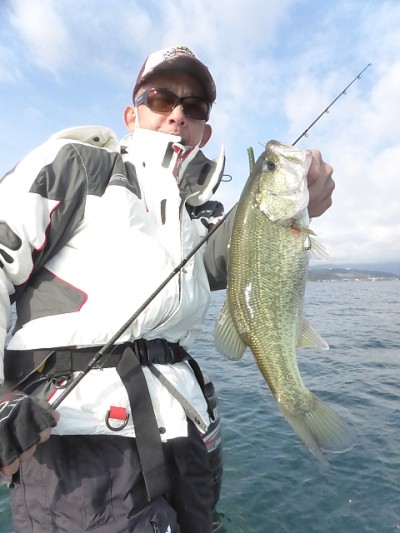 truth news ブログ写真 2014/11/17