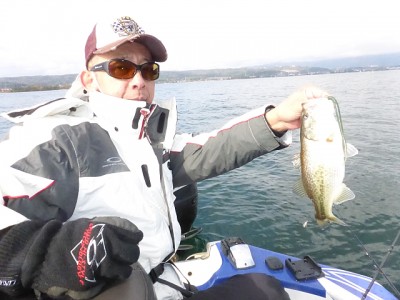 truth news ブログ写真 2014/11/17