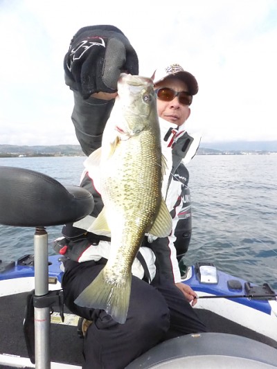 truth news ブログ写真 2014/11/17