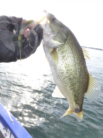 truth news ブログ写真 2014/11/17