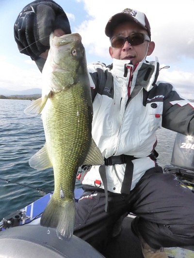 truth news ブログ写真 2014/11/17