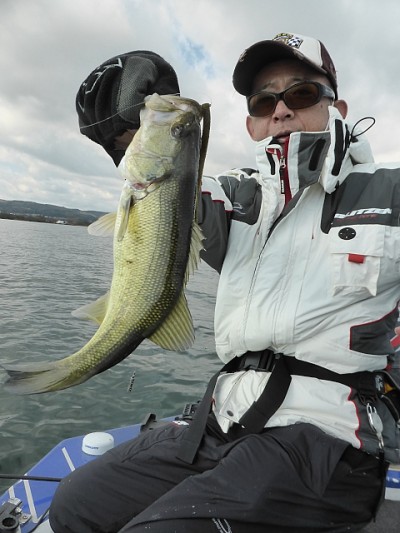 truth news ブログ写真 2014/11/17