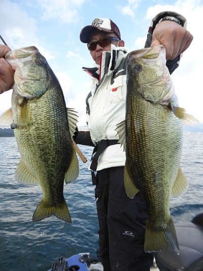 truth news ブログ写真 2014/11/17