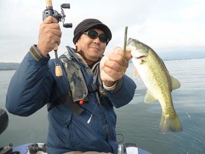 truth news ブログ写真 2014/11/17